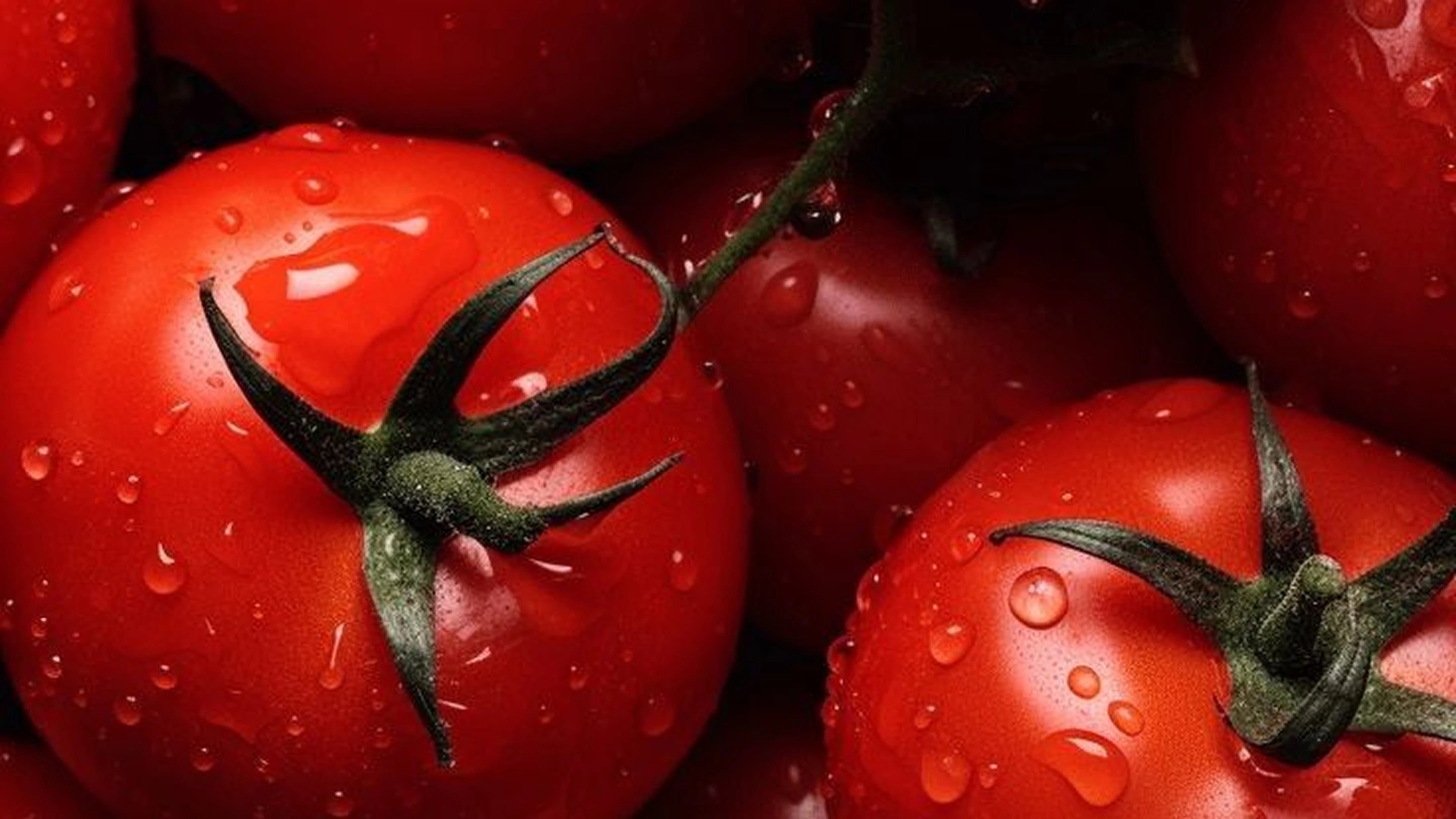 Bannière